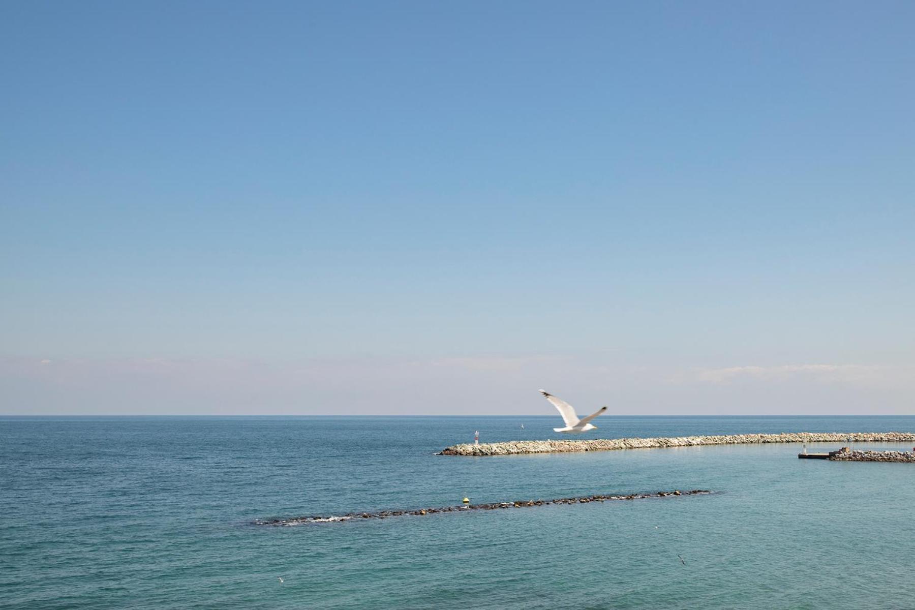 Zefyros Sea View Hotel Platamonas Eksteriør billede